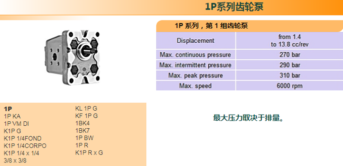 Marzocchi 1P 齒輪泵