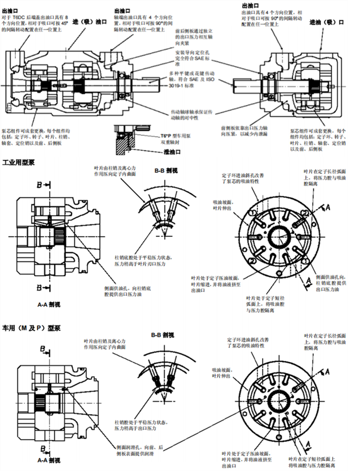 丹尼遜T6C系列單聯(lián)葉片泵剖視圖